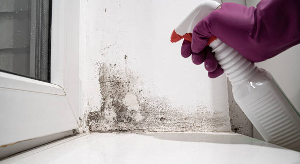 Water damage restoration insurance claims in Arcola, IL